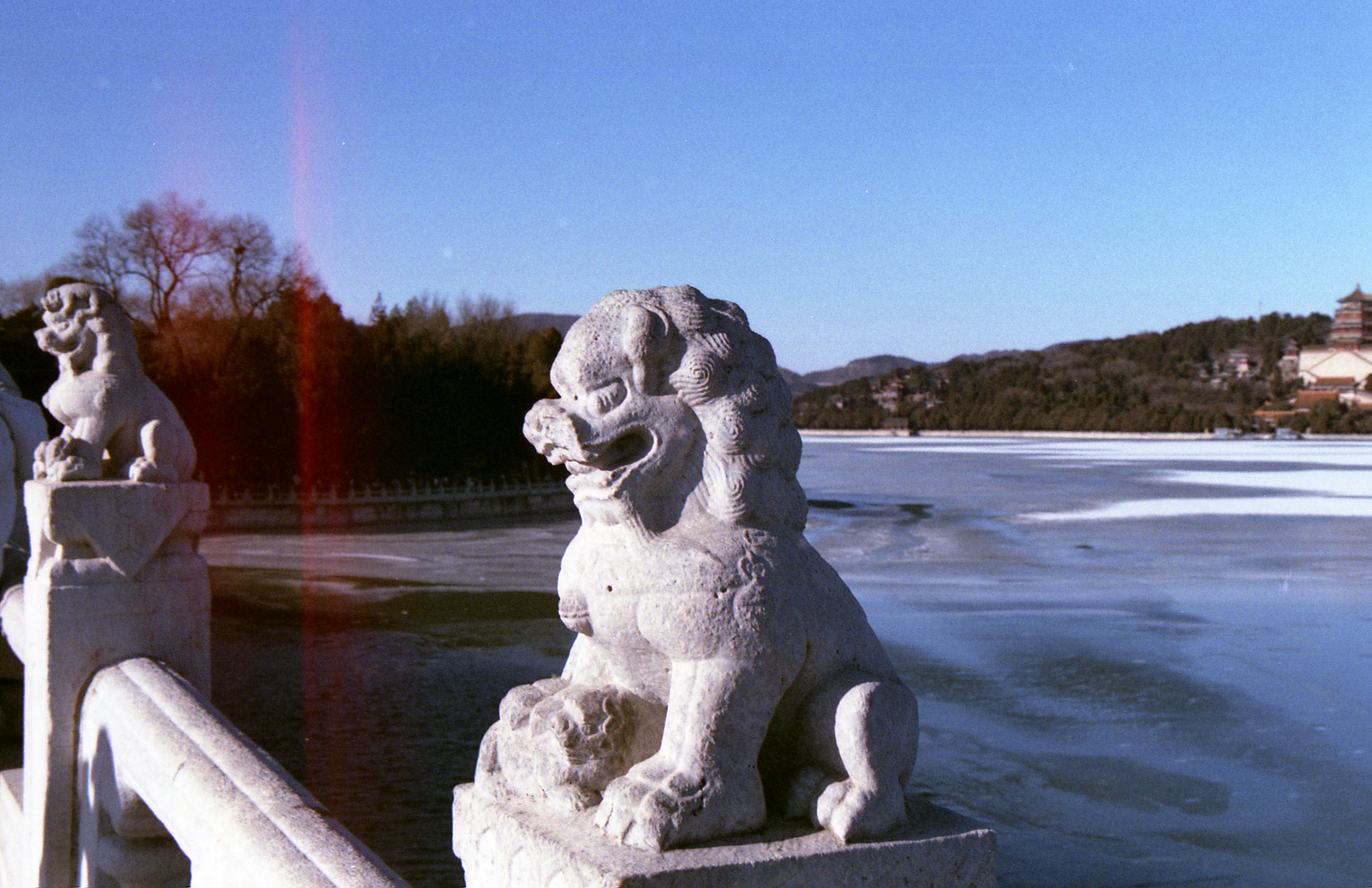 IMG003.JPG
