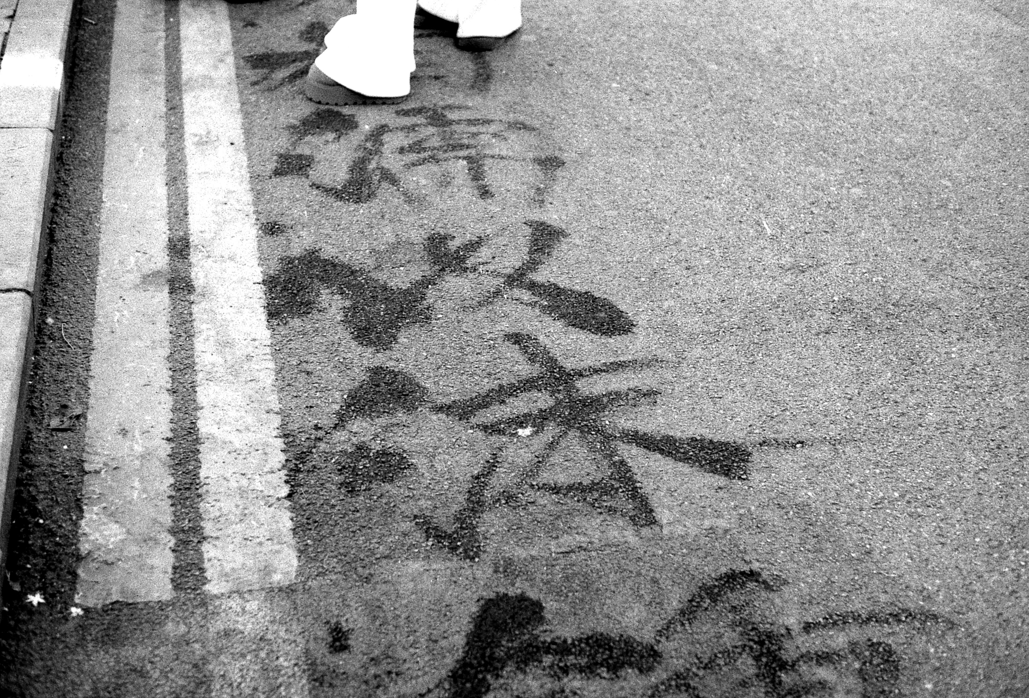 IMG029.JPG